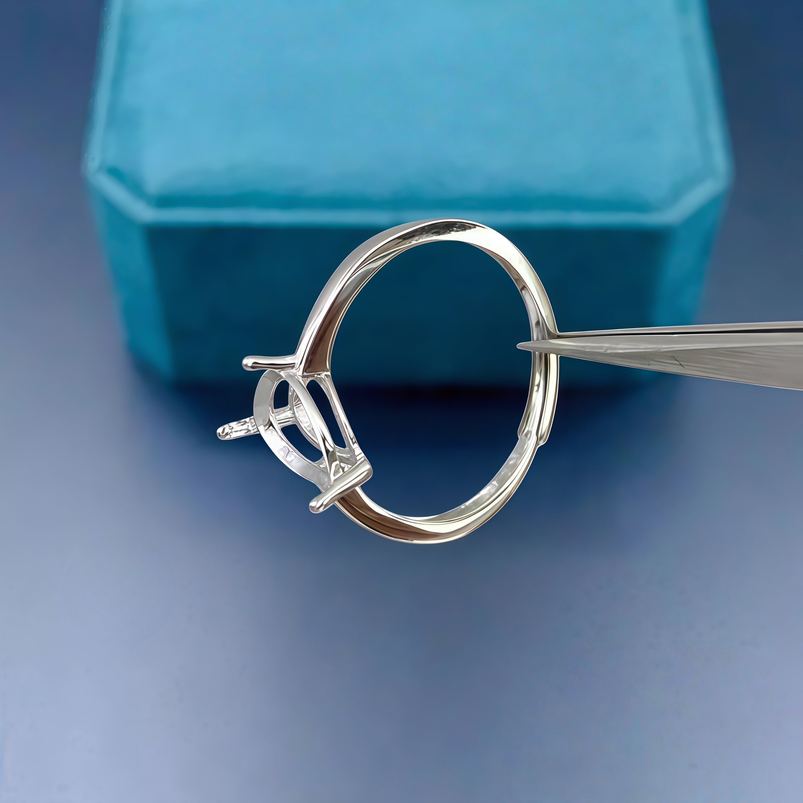 Fashion DIY Ring Empty Holder  - Sterling Silver Ring recensie en prijs