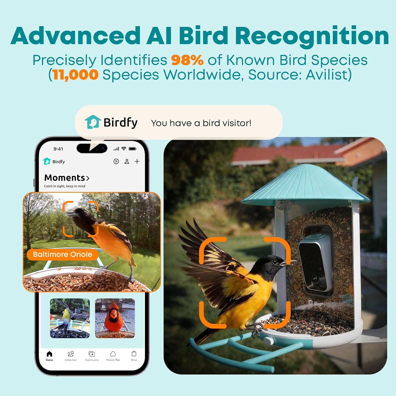 Smart Bird Feeder with AI Came - Watches & Jewelry Tsukiu recensie en prijs