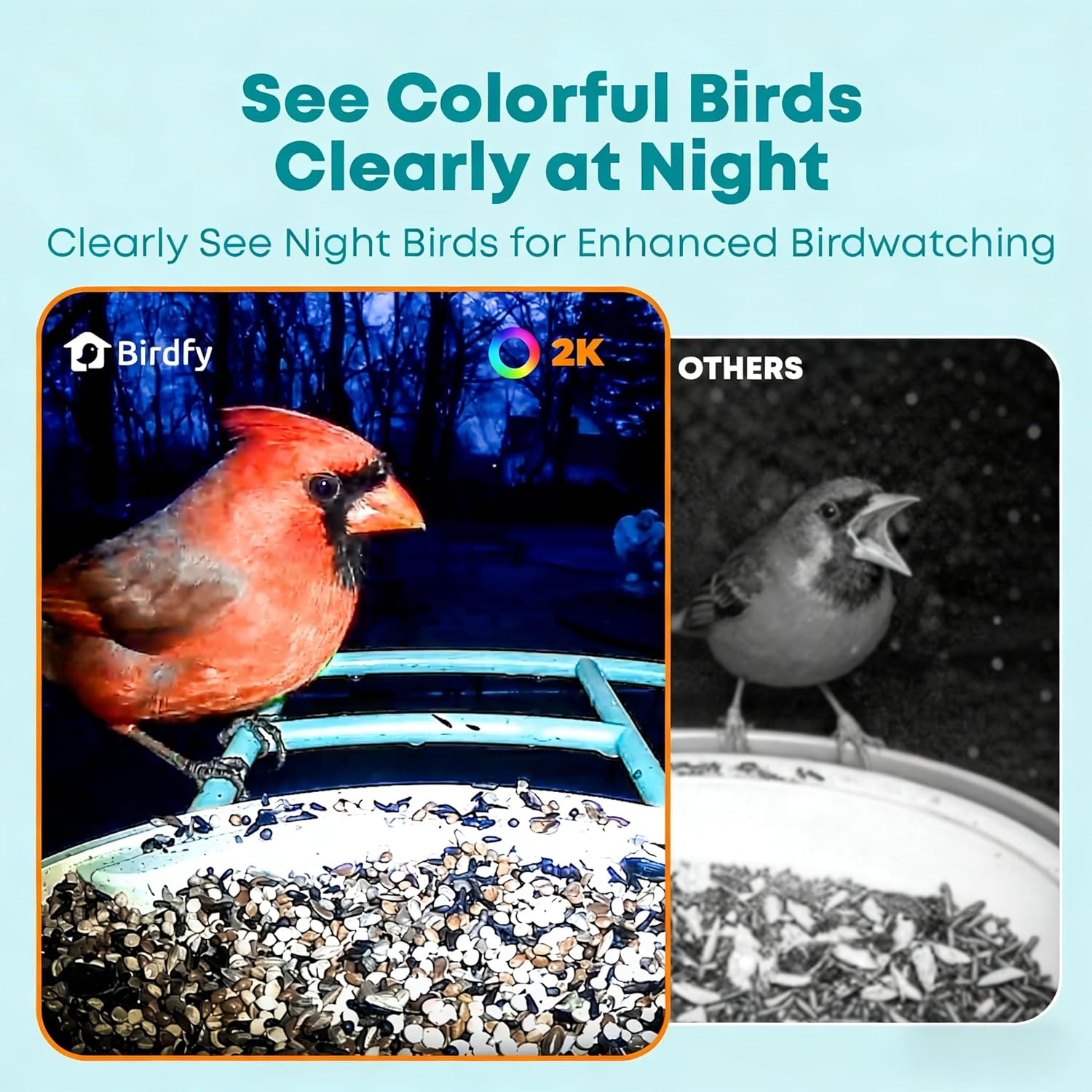 Smart Bird Feeder with AI Came - Watches & Jewelry Tsukiu recensie en prijs