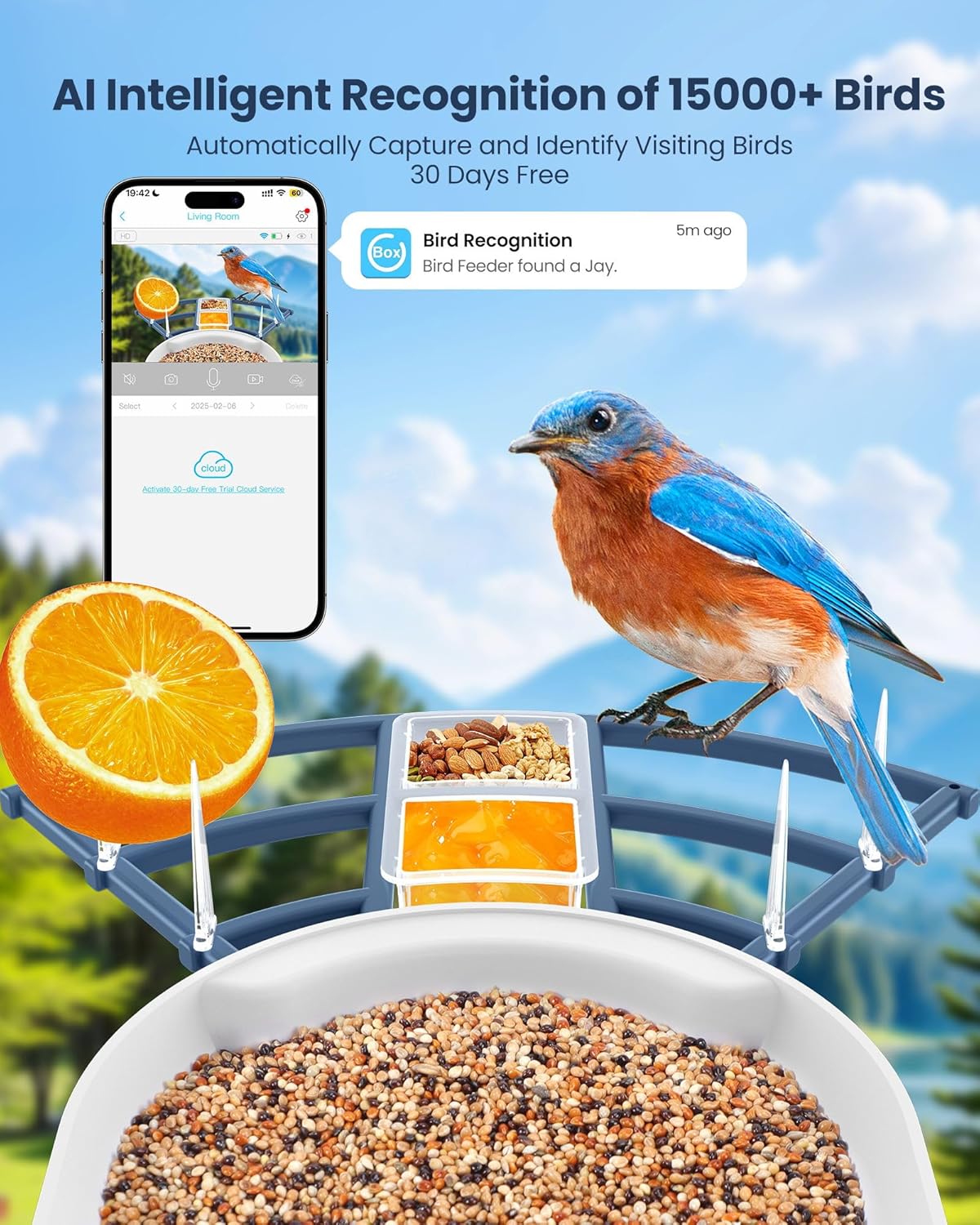 Smart Bird Feeder with Camera, - Watches & Jewelry Tsukiu recensie en prijs