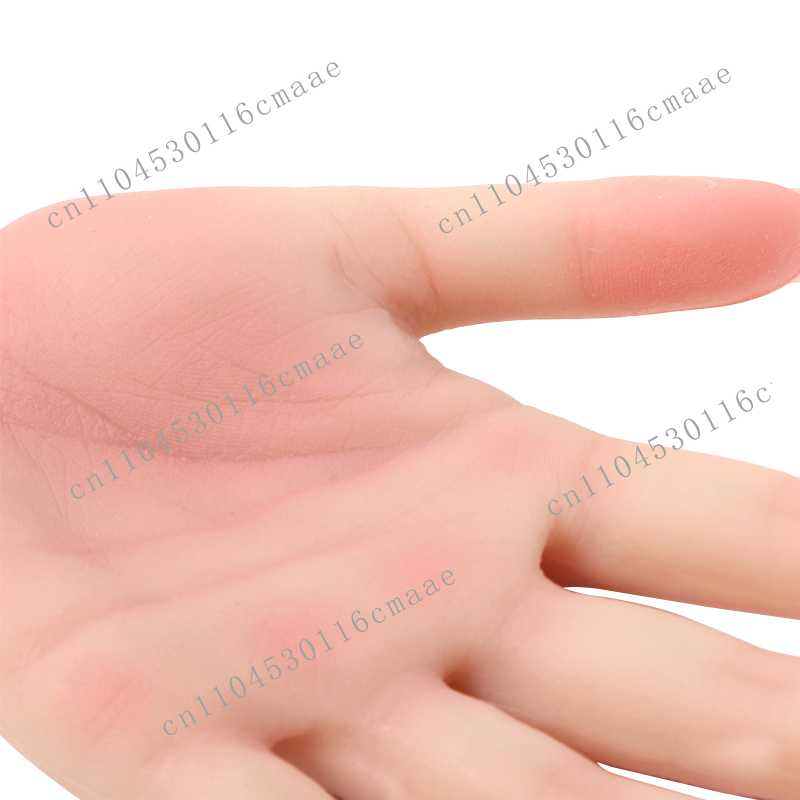 Female Silicone Hand Model, Us - Used Jewelry Watches recensie en prijs