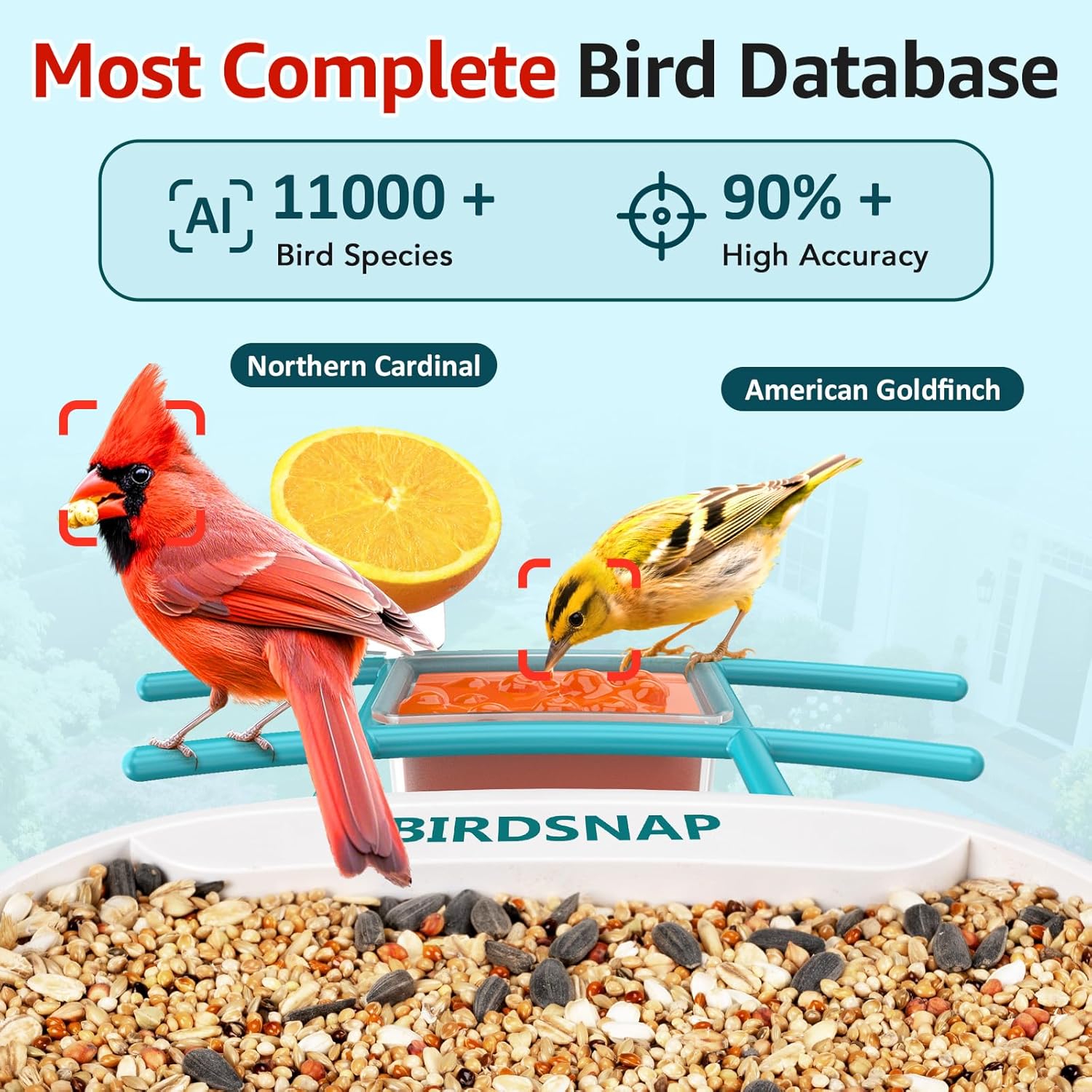 2K HD Bird Feeder Camera with  - Watches & Jewelry Tsukiu recensie en prijs