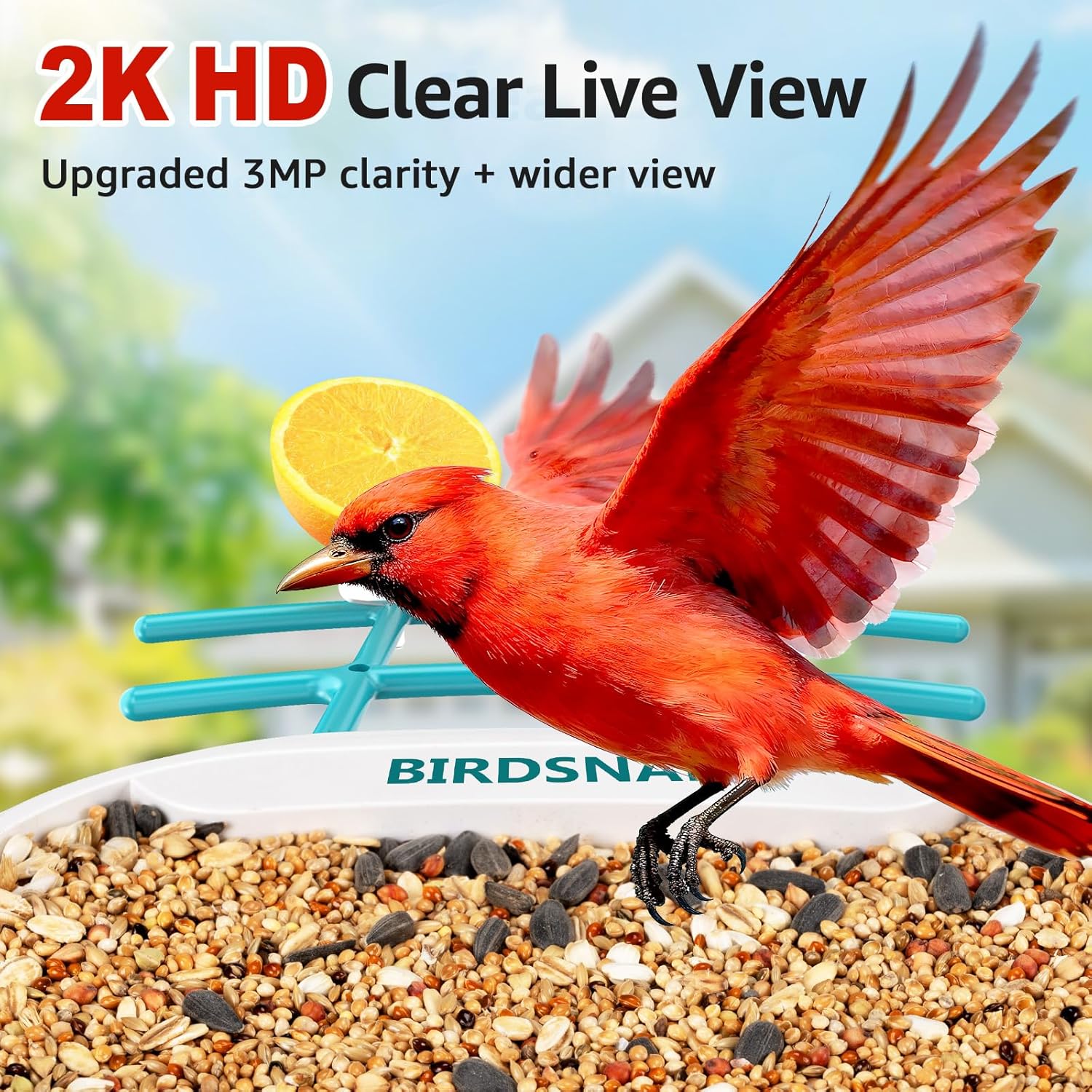 2K HD Bird Feeder Camera with  - Watches & Jewelry Tsukiu recensie en prijs